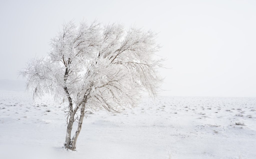 图片[2]-张博作品-觅颜社