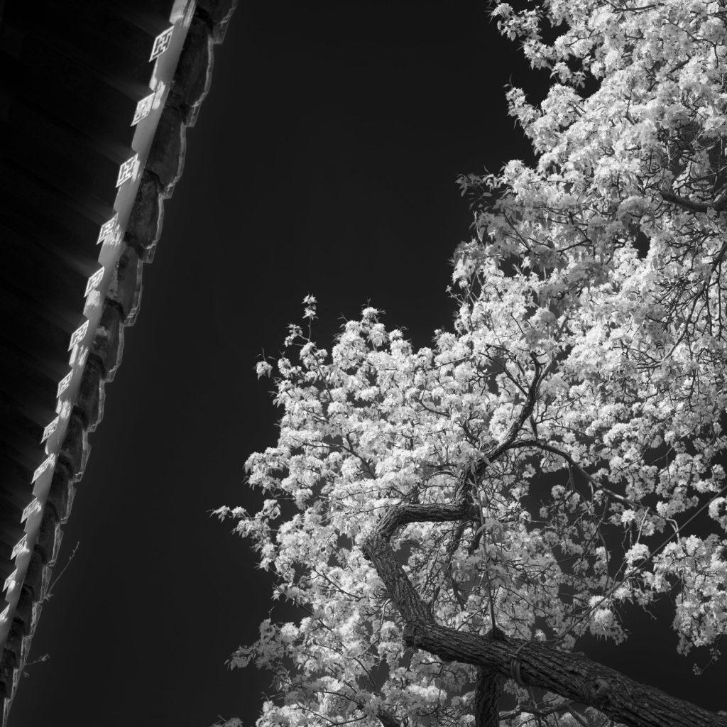 图片[10]-张博作品-觅颜社