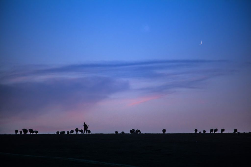 图片[4]-彭安作品-觅颜社