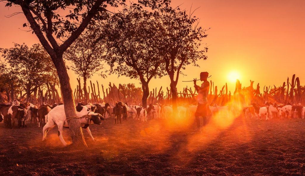 图片[8]-郑承建作品-觅颜社