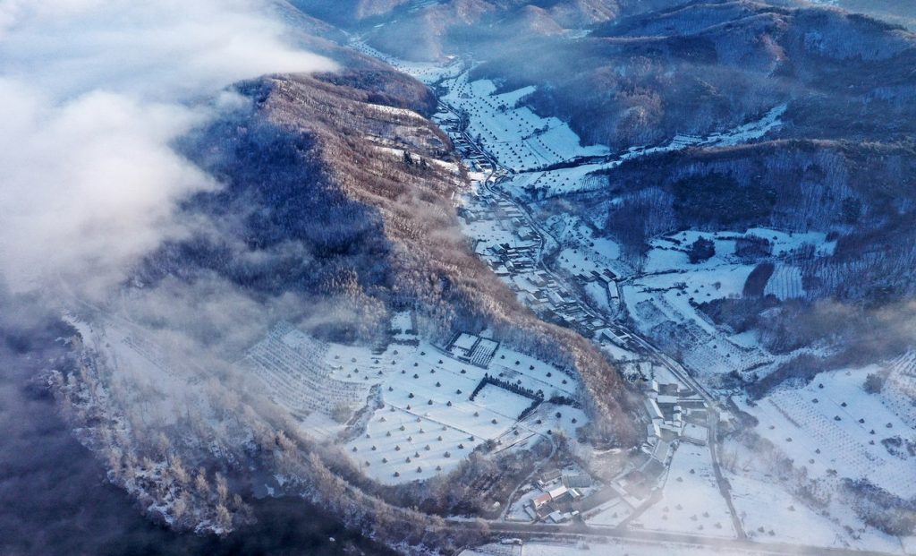 图片[2]-张金敏作品-觅颜社