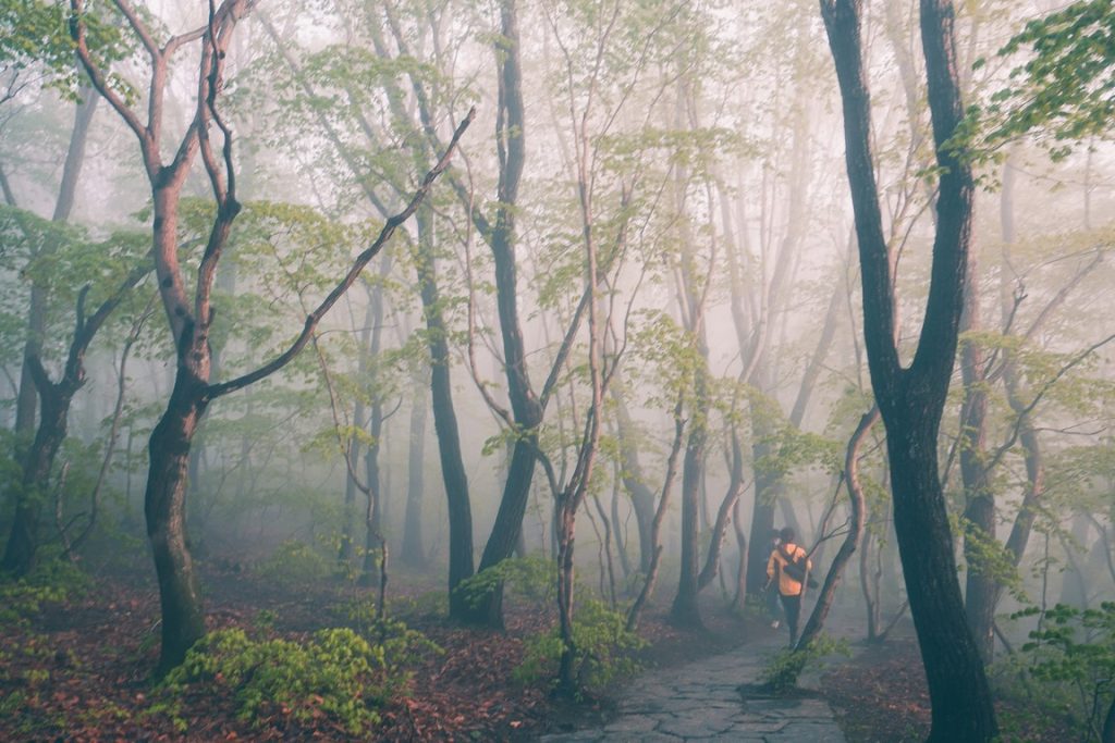 图片[6]-张金敏作品-觅颜社