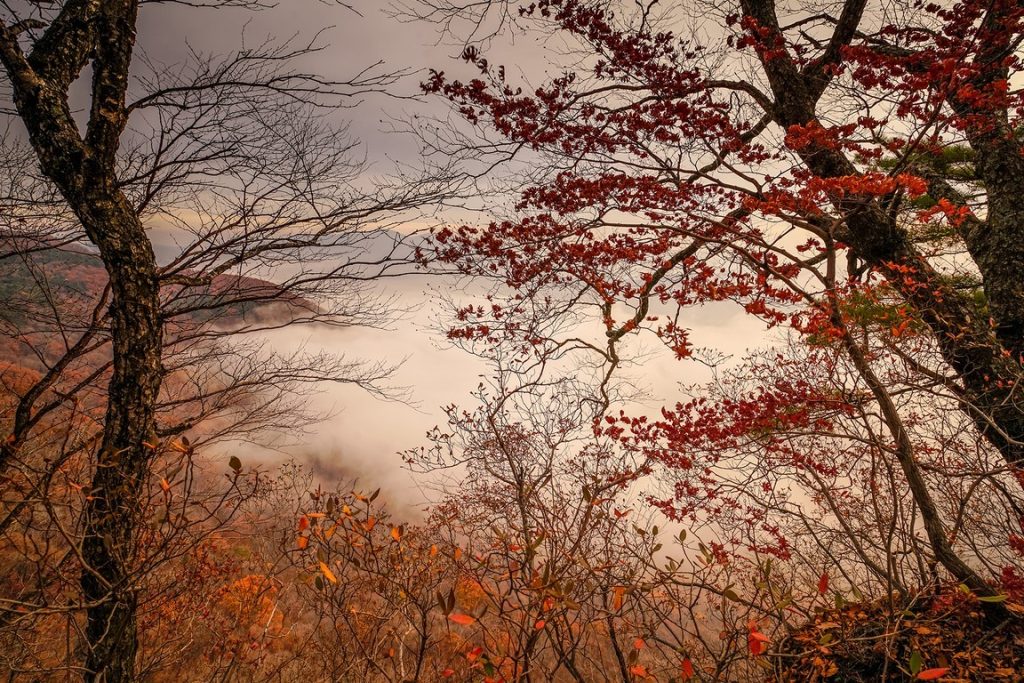 图片[7]-张金敏作品-觅颜社