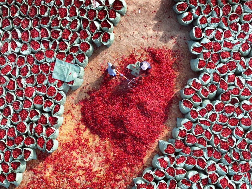 图片[4]-张靖作品-觅颜社