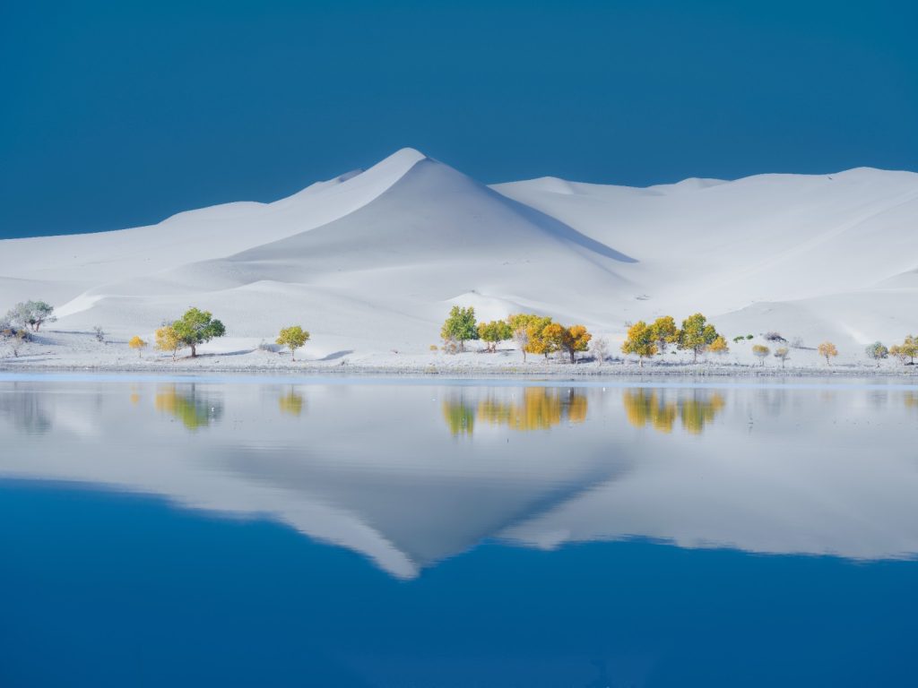 图片[6]-张靖作品-觅颜社