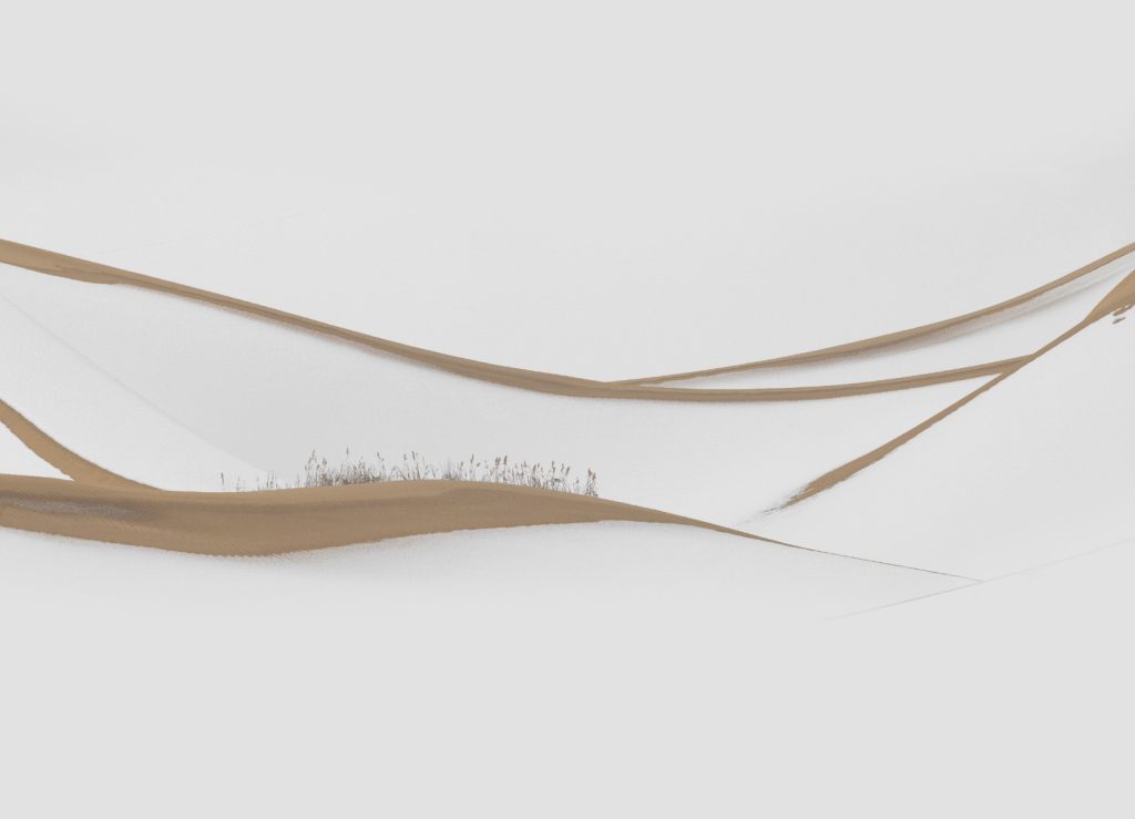 图片[7]-张靖作品-觅颜社