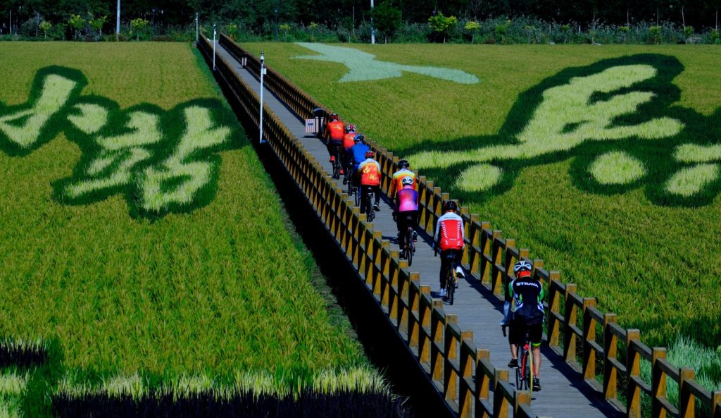 图片[10]-杨娃娃作品-觅颜社