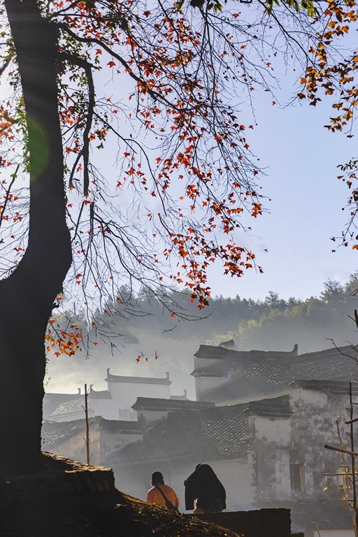 图片[4]-张英作品-觅颜社