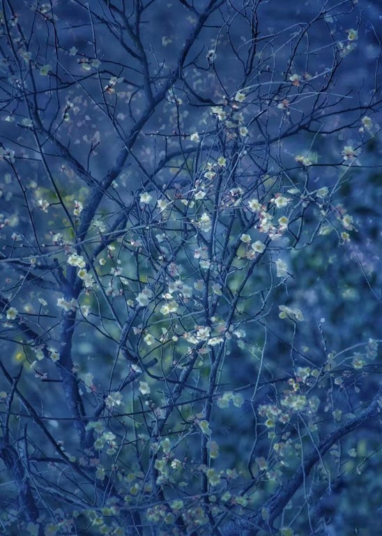 图片[3]-张英作品-觅颜社