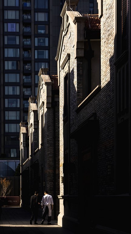 图片[6]-张英作品-觅颜社