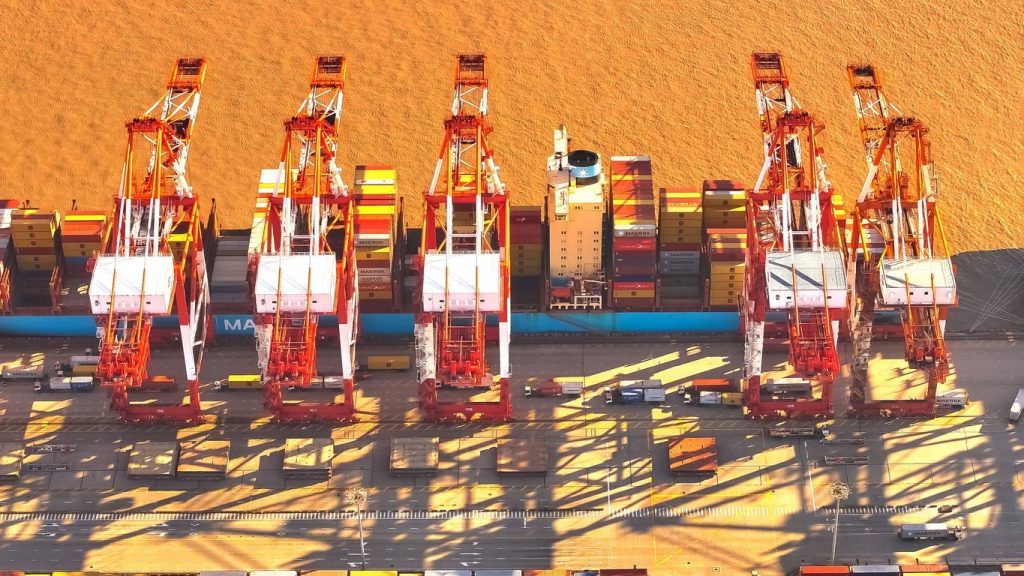 图片[7]-张英作品-觅颜社