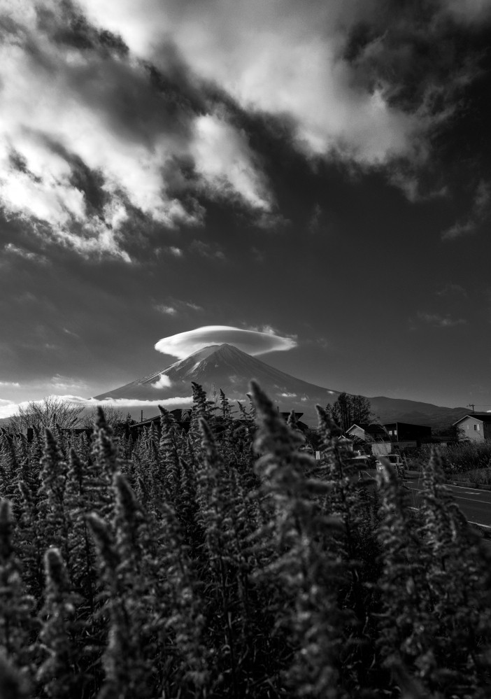 图片[4]-张博作品-觅颜社